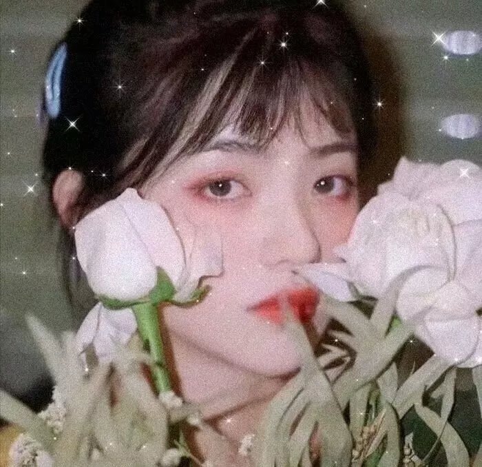 雪径